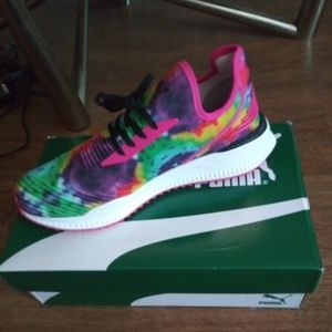 Multicolor Puma